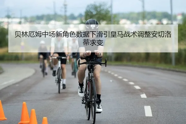 bei-lin-e-mu-zhong-chang-xin-jue-se-shu-ju-xia-hua-yin-huang-ma-zhan-shu-tiao-zheng-an-qie-luo-di-qiu-bian-2-333.jpg